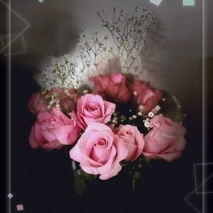 Meet your Posher, Zhen